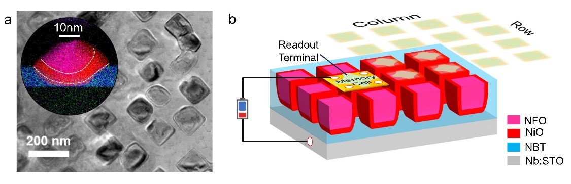 20210525-1.jpg 20210525-1.jpg