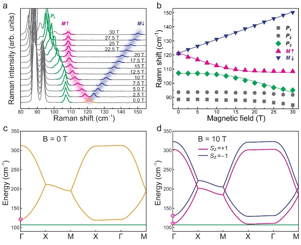 20210830熊2.jpg 20210830熊2.jpg