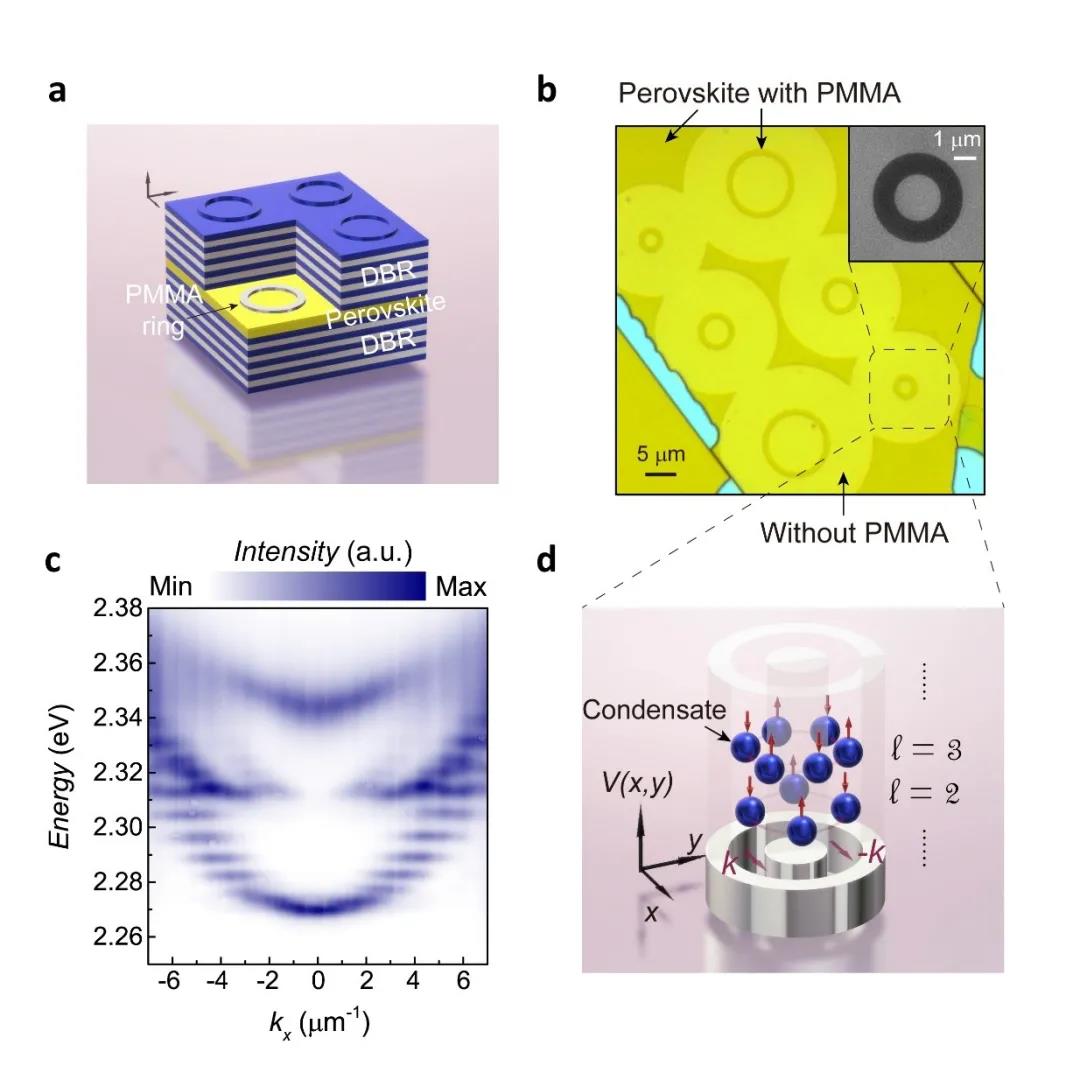 熊启华:环形钙钛矿微腔中室温激子极化激元研究取得新进展