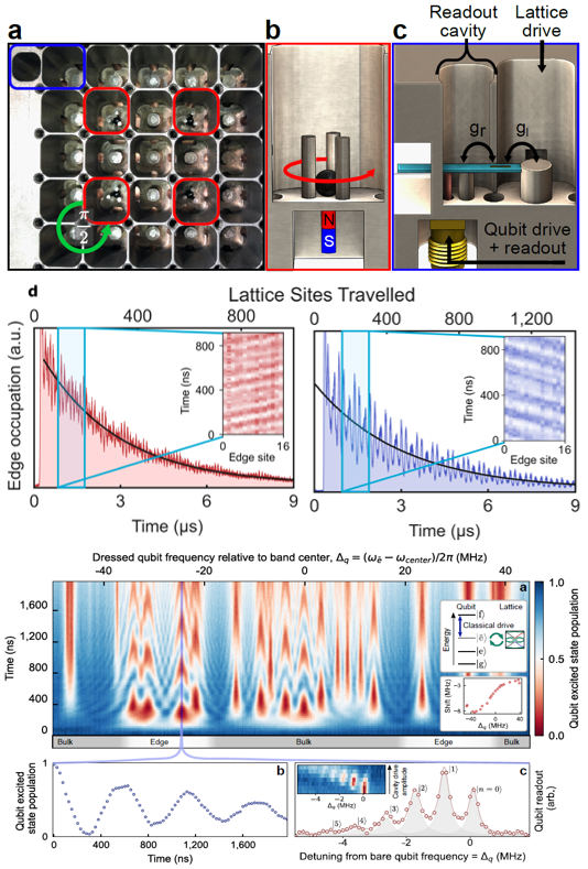 手性腔广东会电动力学
