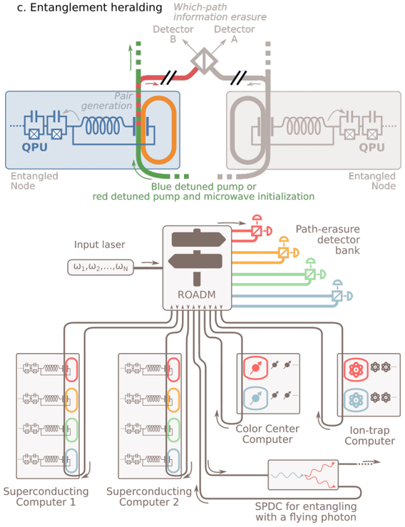 超导广东会系统间的光学预报(optically-heralded)纠缠