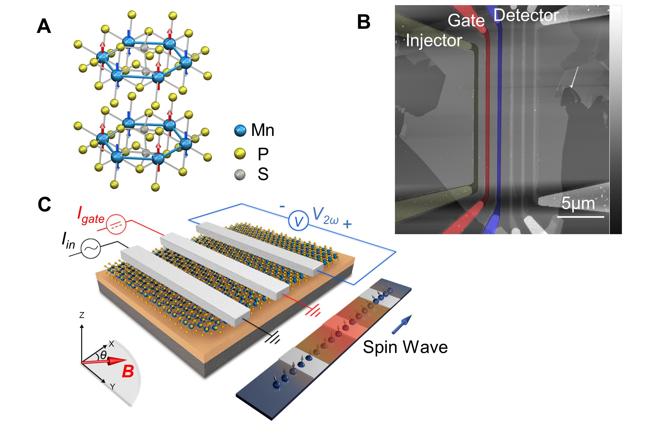 陈剑豪团队实现首个电控二维磁振子阀