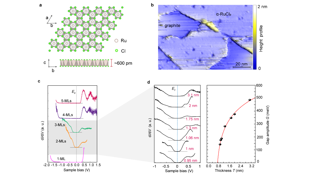 Ժ˺ͶάŶKitaevҺϦ-RuCl3ĵ̬оȡ½չ