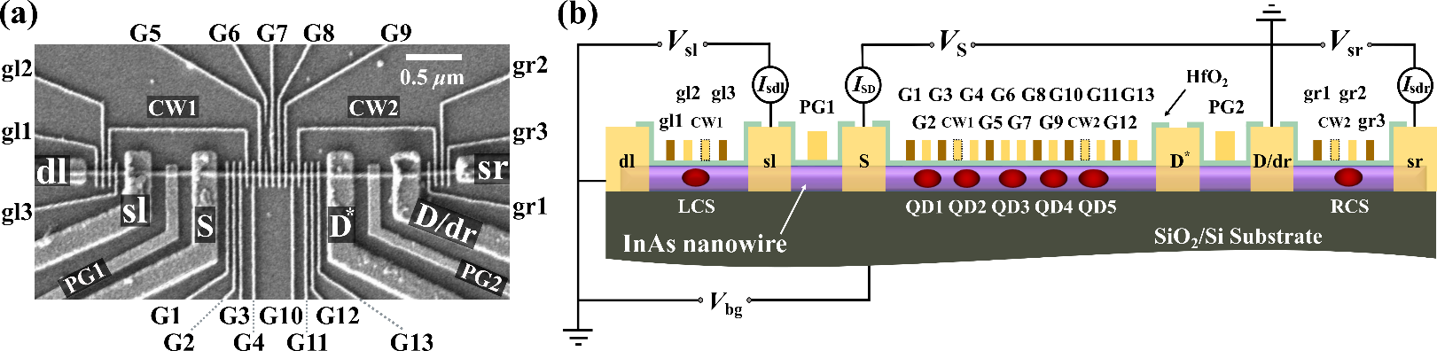 ԺŶڰ뵼϶㶫оȡýչ