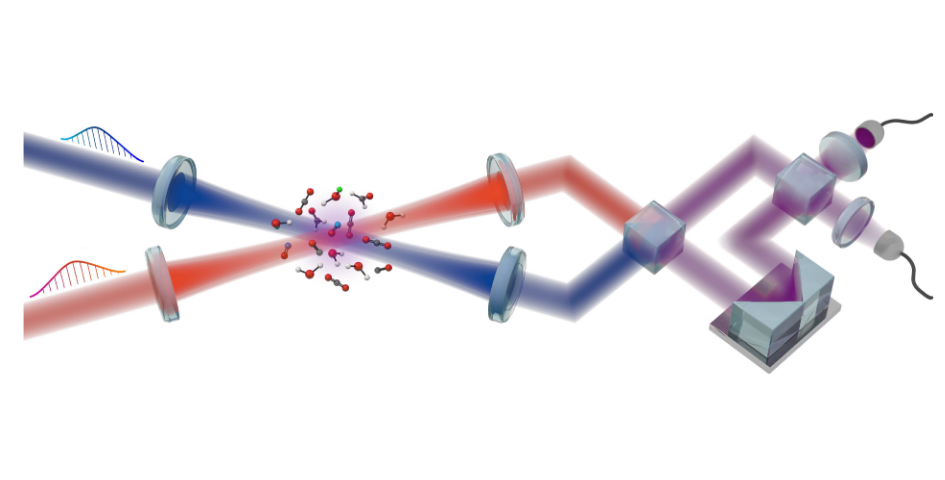 超灵敏气体检测神器: “调制驰豫衰减频梳干涉仪”如何破解复杂气体传感难题