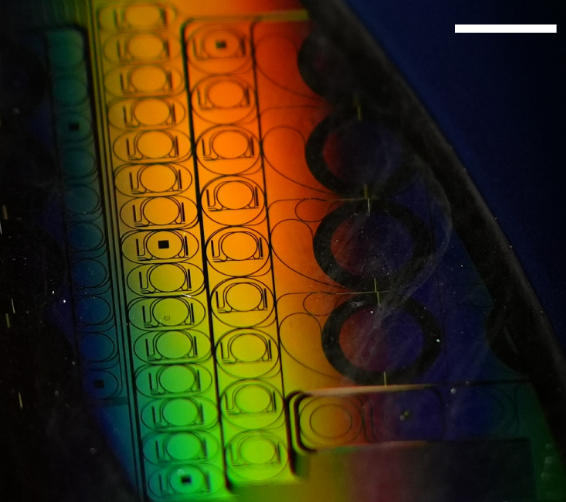 㶫оƬġ³衱赪΢еĹӶ