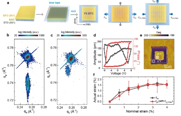 我院低维广东会材料团队与合作者在多铁性薄膜应变调控研究中取得新进展
