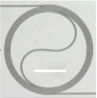 ѧŴشͻƣڷԼɲĲƵ