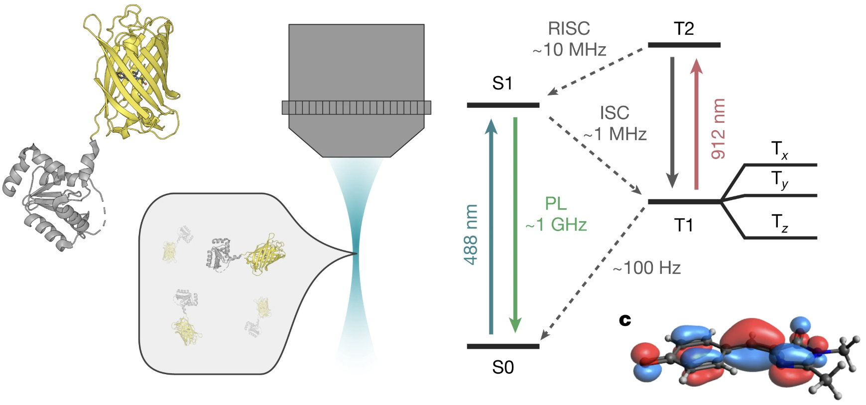 ʹ㶫Ƽǰ(58)ӫ⵰ױ㶫أ㶫ں